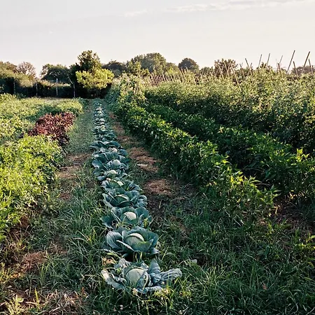 La Posta Vecchia Szálloda 5*