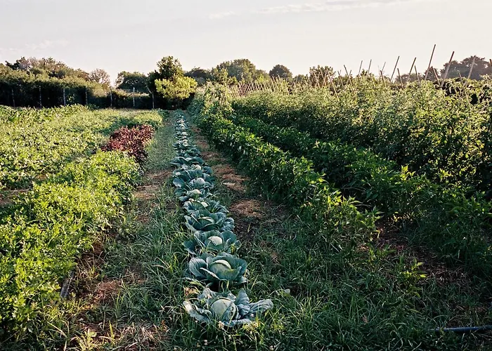 拉波斯塔维奇亚酒店 酒店 5*